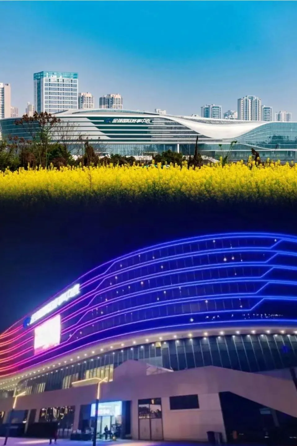 为什么篮球训练报告需要包含心理状态分析_2